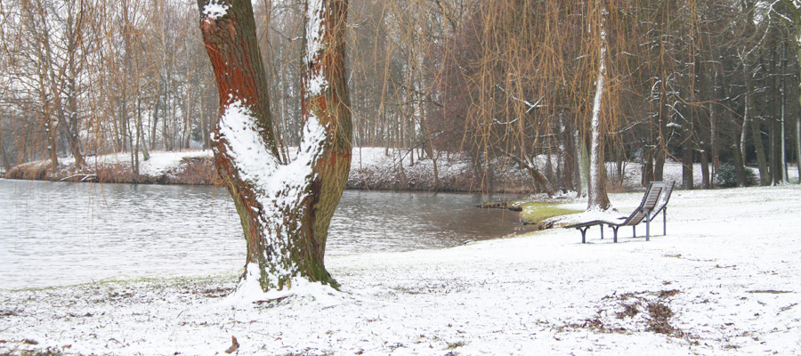 Scharmützelsee im Winter